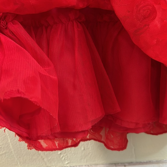 Baby GAP red formal embroidered floral dress 18-24 months - Picture 4 of 6